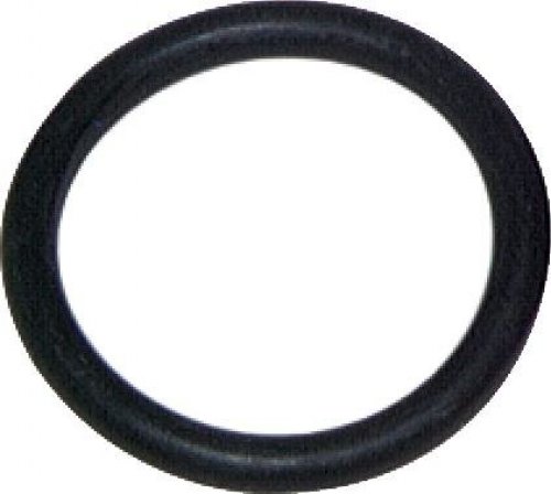 Exemplarische Darstellung: O-Ring
