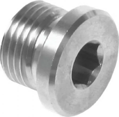 Verschlussschraube Edelstahl 1.4571 metrisch mit Elastomerdichtung (PN 400)