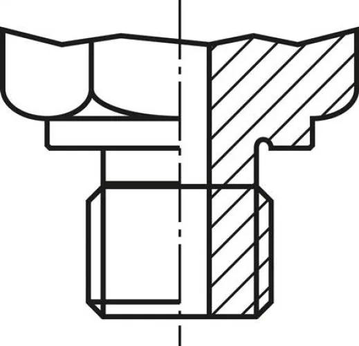 Abdichtung FORM D Messanschluss M 16x1,5 aus glänzend verzinktem Stahl mit Außengewinde und Schutzkappe/Kette