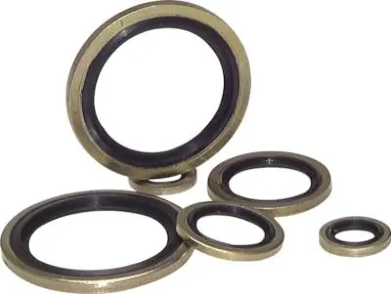 Detailaufnahme, die den Querschnitt des Dichtrings und die FKM-Einlage verdeutlicht.