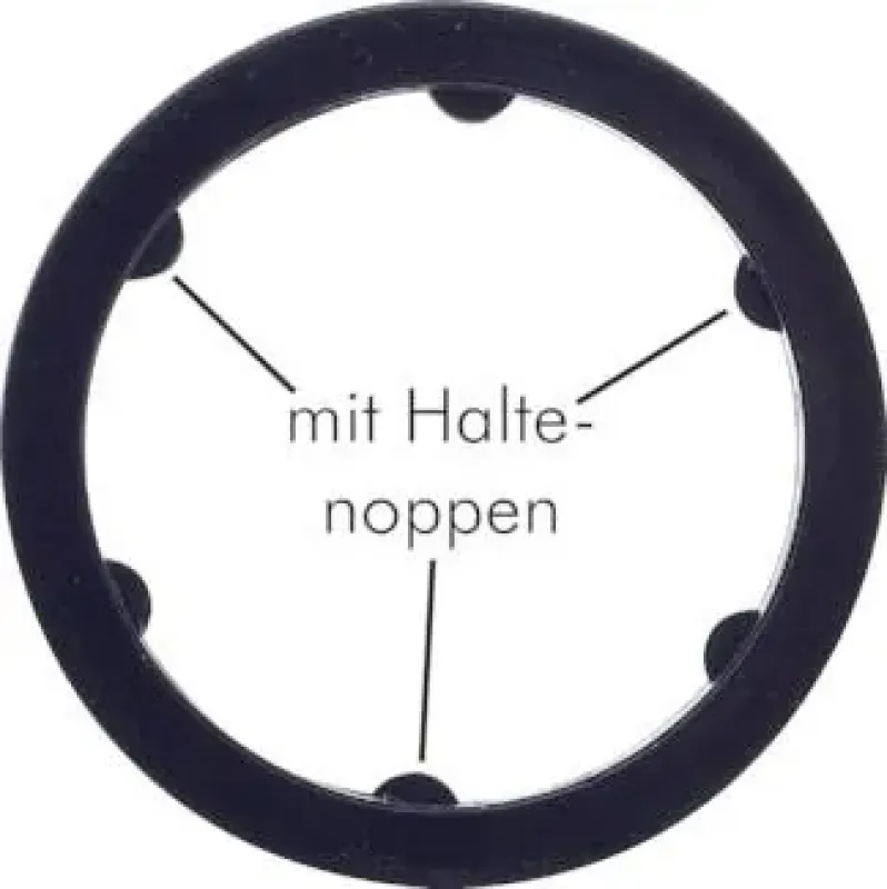 Detailaufnahme eines PA-Dichtrings