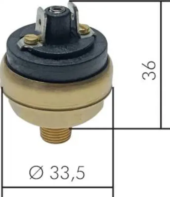 Hochgenauer Druckschalter aus Messing mit feiner Einstellskala und elektrischem Anschluss (z.B. Flachstecker)