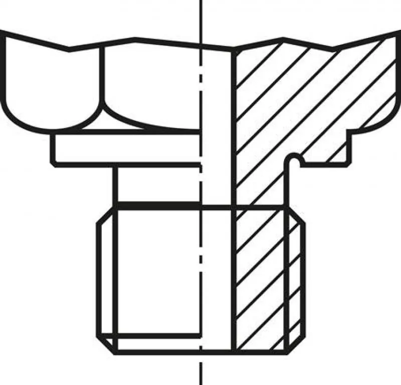 Abdichtung FORM D Messanschluss M 16x1,5 aus glänzend verzinktem Stahl mit Außengewinde und Schutzkappe/Kette